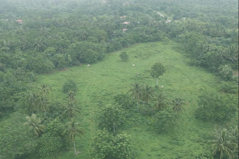 Faith & Joy Residence Land