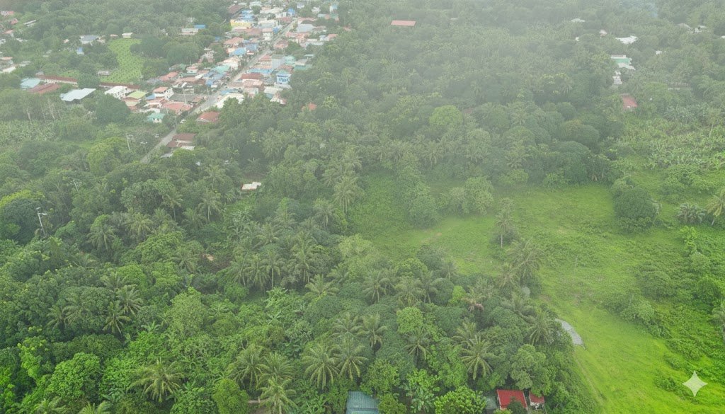 Faith & Joy Residence Land